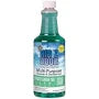 RID'Z ODOR SPICED GREEN TEA 32 OZ