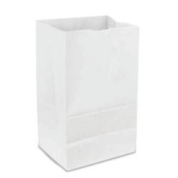 BAGS #10 LB WHITE 500/CS