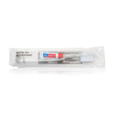 DENTAL KIT FROSTED SACHET 288/CS