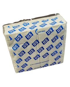 US 15X17 2 PLY DINNER NAPKIN 3000/CS