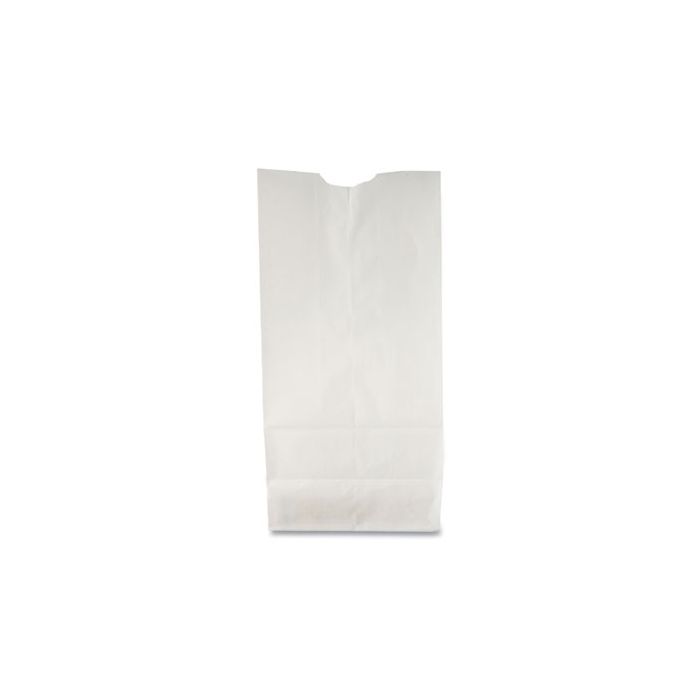 BAGS #6 LB WHITE 500/CS