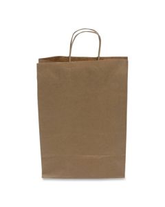 KRAFT PAPER BAGS 10"X6"X13"  250/CS