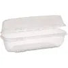 PACTIV YCI8-1048 CLEAR HOAGIE 250/CS